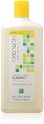 Andalou Naturals Sunflower & Citrus Shampoo 11.5 oz