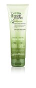 Giovannie 2Chic Ultra Moist Shampoo With Avocado Olive 8.5 oz