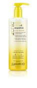 Ultra Revive Shampoo - Pineapple & Ginger - 24oz