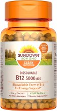 (image for) Sundown Naturals Methylcobalamin B-12 5000 MCG 90 Count