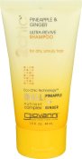 Shampoo - Pineapple Ginger - 1.5 Fl Oz