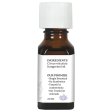 (image for) Aura Cacia Pure Tangerine Essential Oil 0.5 oz