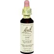 Bach Original Flower Remedies Stated Oak 20 ml