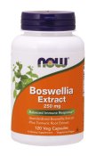 Now Foods Boswellia Extract 250 mg 120 Veg Capsules