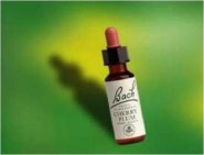 Bach Flower Remedies Red Chestnut 20 ml