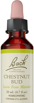 Bach Original Flower Remedy Dropper, 20 ml, Chestnut Bud Flower