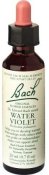 (image for) Bach Original Flower Remedies Water Violet 20 ml