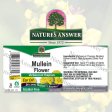 (image for) Nature's Answer Mullein Flower Ear Oil 1oz