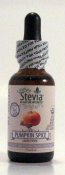 Anumed International Pumpkin Spice Stevia Liquid 1 oz