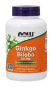 (image for) Ginkgo Biloba 60 mg - 240 Veg Capsules