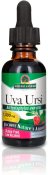 Nature's Answer Uva Ursi Extract 1 oz