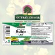 (image for) Nature's Answer Mullein Leaf 1 oz