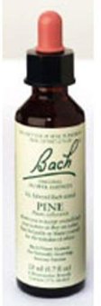 Bach Original Flower Remedy Dropper Pine Flower Essence 20ml