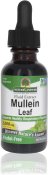 Nature's Answer Mullein Leaf 1 oz