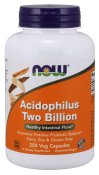 Now Foods Acidophilus 2 Billion 250 Vcaps