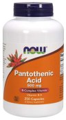 Now Foods Pantothenic Acid 500 mg 250 Vcaps