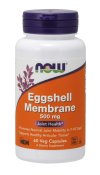 Eggshell Membrane 500 mg - 60 Veg Caps