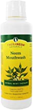 (image for) Theraneem Naturals Organix South Neem Mint Mouthwash 16oz